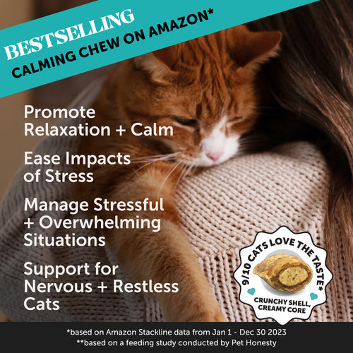 Pet Honesty Dual Texture Calming Supplement for Cats (3.7 oz)