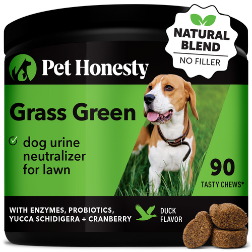 Pet Honesty Grass Green Dog Urine Neutralizer for Lawn Soft Chews for Dogs (90 Soft Chews)