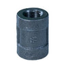 Pannext Fittings Couplings (300lbs)