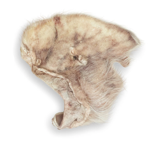 Momentum Hairy Pig Ear Chew