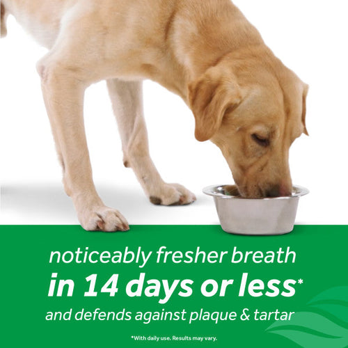 TropiClean Fresh Breath Dental Health Solution for Dogs