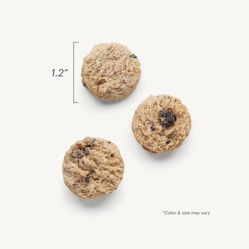 The Honest Kitchen Goat's Milk N' Cookies Slow Baked with Blueberries & Vanilla