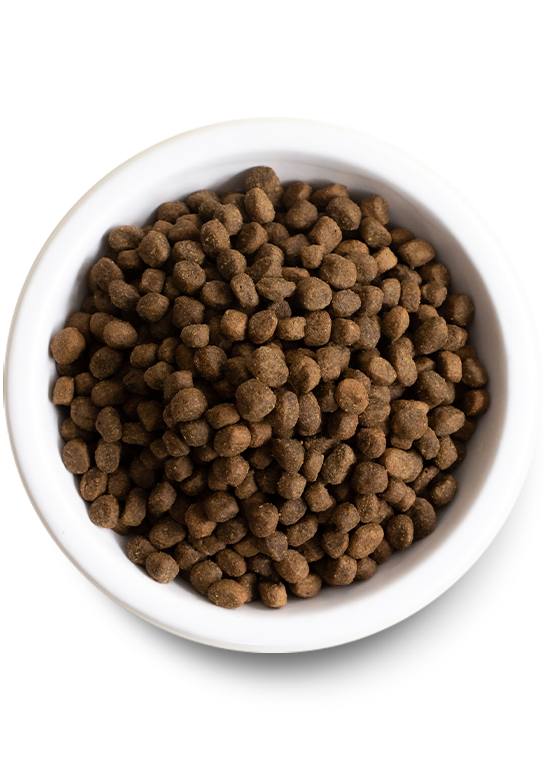 Open Farm Grass-Fed Beef Dry Dog Food