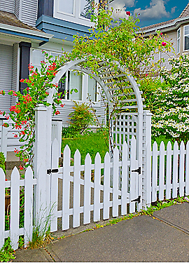 National Hardware Decorative T Hinge 10, Black