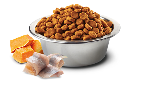 Farmina N&D Ocean Canine Cod, Pumpkin & Orange Adult Medium & Maxi Dry Dog Food