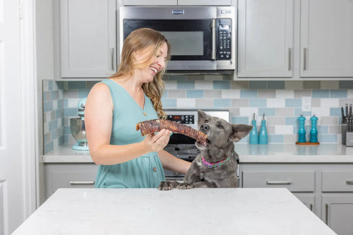 Natural Cravings USA Bison Trachea