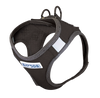 Bay Dog Liberty Bay Dog Harness