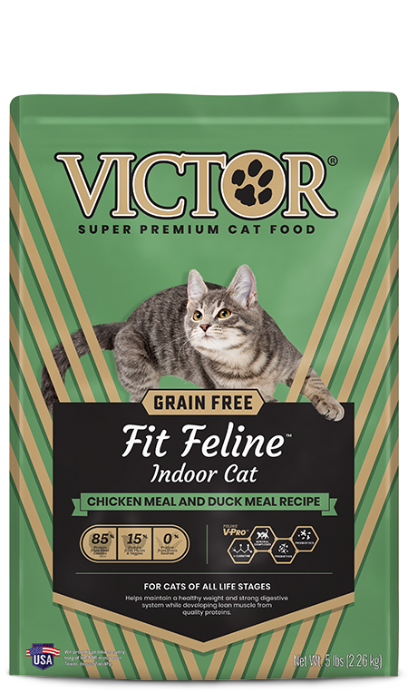 Victor Cat Fit & Free Feline