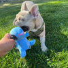 Territory Blue Dino 2-in-1 Chew Bone Dog Toy