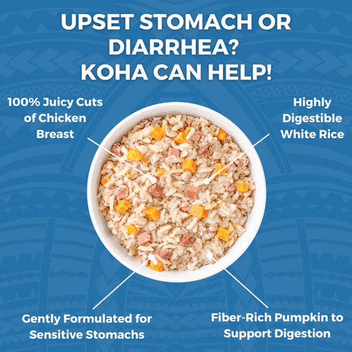 Koha Limited Ingredient Wet Bland Diet Lamb & White Rice Recipe for Dogs