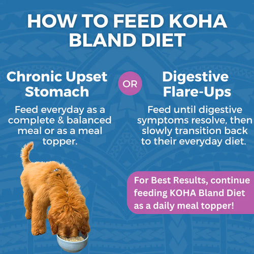 Koha Limited Ingredient Wet Bland Diet Lamb & White Rice Recipe for Dogs