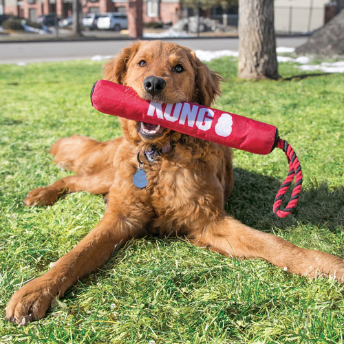 KONG Signature Stick w/Rope Dog Toy