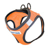 Bay Dog Liberty Bay Dog Harness