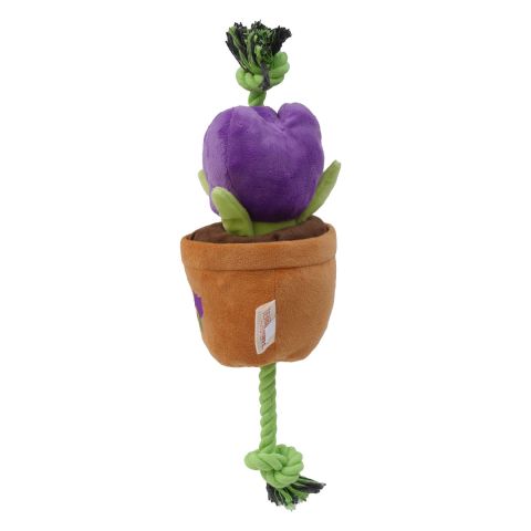 Territory Flower Treat-and-Tug Dog Toy