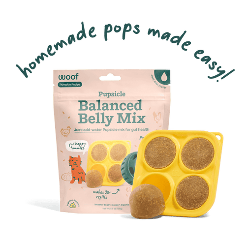 Woof Balanced Belly Pupsicle Mix