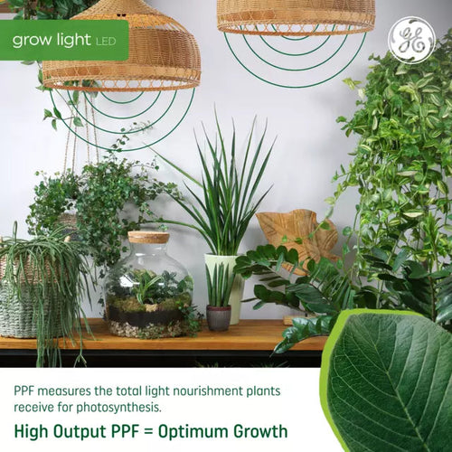 GE Grow LED Light Bulb, A19 Indoor Plant Light for Seeds and Greens 16 PPF - Murfreesboro, TN