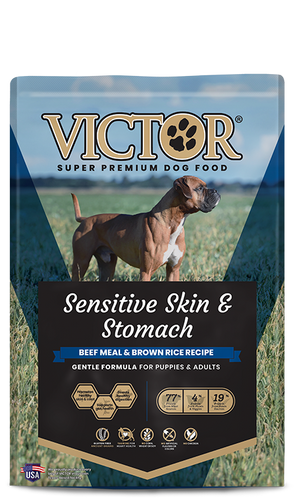 Victor Pet Sensitive Skin & Stomach Beef Meal & Brown Rice Recipe Dry Dog Food