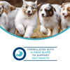 Fromm Digestive Supplement Pâté Wet Dog Food