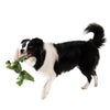 Tall Tails  Jointed Shake Play Dog Toy