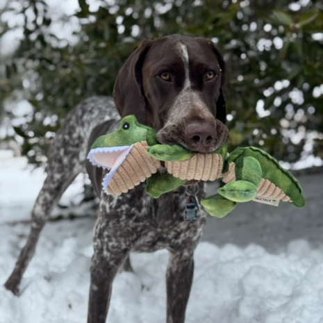 Tall Tails  Jointed Shake Play Dog Toy