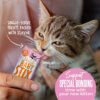 Tiki Cat® Baby™ Stix™ Wet Treats With Chicken In Creamy Gravy for Cats