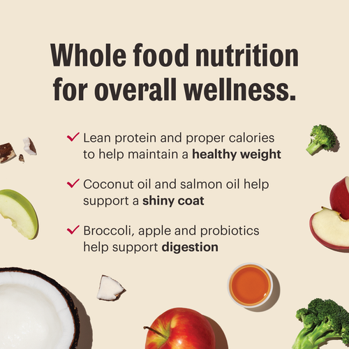 The Honest Kitchen Grain Free Chicken Whole Food Clusters for Small Breeds