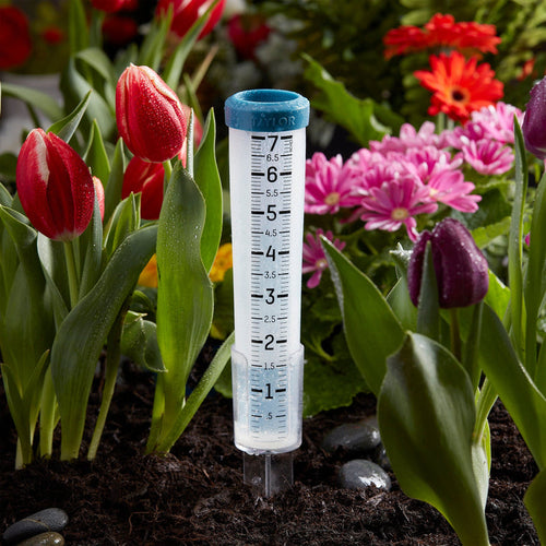 Taylor 7 Silicone Rain Gauge