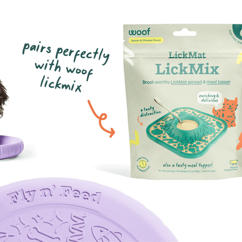 Woof Fly n' Feed Dog Toy