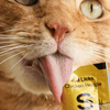 Smalls Bird Licks Digestion Lickable Cat Treats