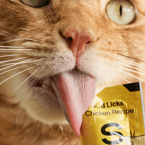 Smalls Bird Licks Digestion Lickable Cat Treats
