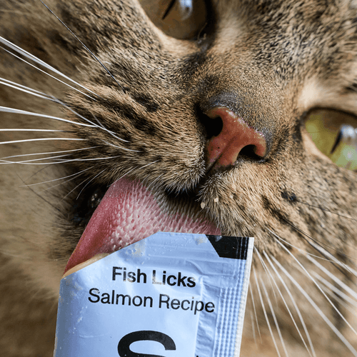 Smalls Fish Licks Digestion Lickable Cat Treats