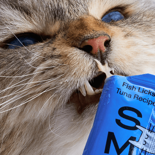 Smalls Fish Licks Skin & Coat Lickable Cat Treats