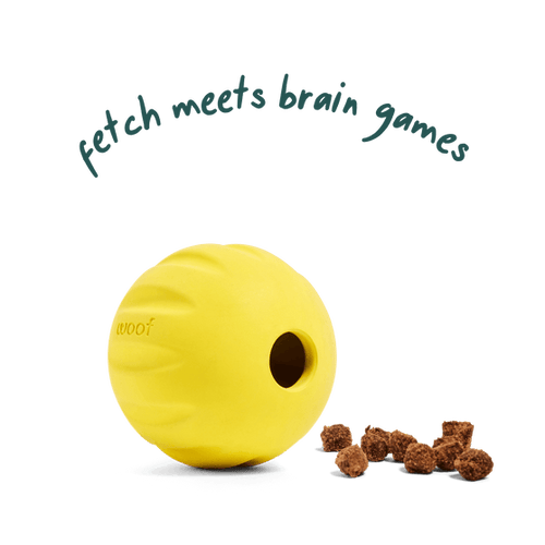 Woof Flyball Dog Toy