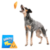 BARK Drool Ranch Chips Plush Enrichment + Multi-Part Dog Toy