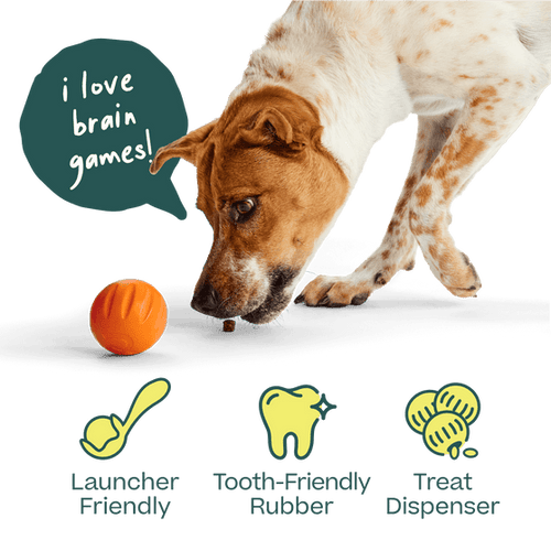 Woof Flyball Dog Toy