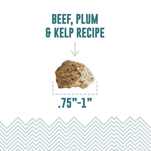 Icelandic+ Beef, Plum & Kelp Recipe Soft & Chewy Bites for Dogs