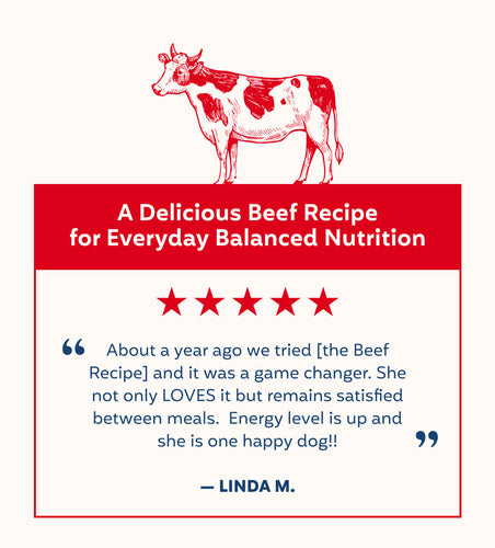 My Perfect Pet Gently Cooked Beef Knight's