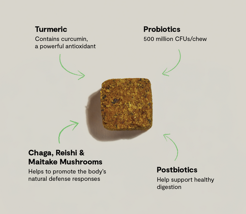Open Farm Immune Supplement Chews for Dogs