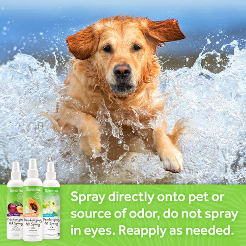 TropiClean Berry Breeze Deodorizing Spray for Pets