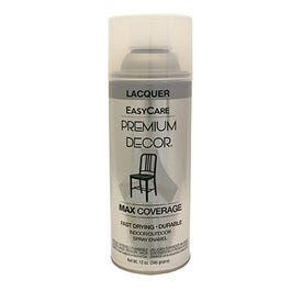 Premium Decor Spray Paint, Clear Gloss, 12-oz. - Murfreesboro, TN -  Kelton's Hardware & Pet