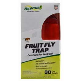 How to use the RESCUE! Fruit Fly Trap > Rescue