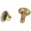 Brass-Plated Speedy Rivets, 12 Sets, Large