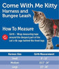 PetSafe Come with Me Kitty Dusty Rose & Burgundy Harness and Bungee Leash for Cats