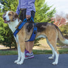 Petsafe EasySport Harness